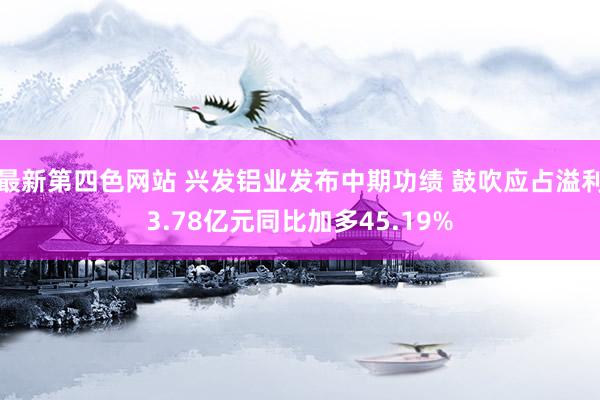 最新第四色网站 兴发铝业发布中期功绩 鼓吹应占溢利3.78亿元同比加多45.19%