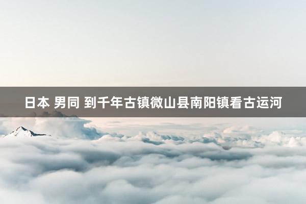 日本 男同 到千年古镇微山县南阳镇看古运河