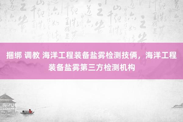 捆绑 调教 海洋工程装备盐雾检测技俩，海洋工程装备盐雾第三方检测机构