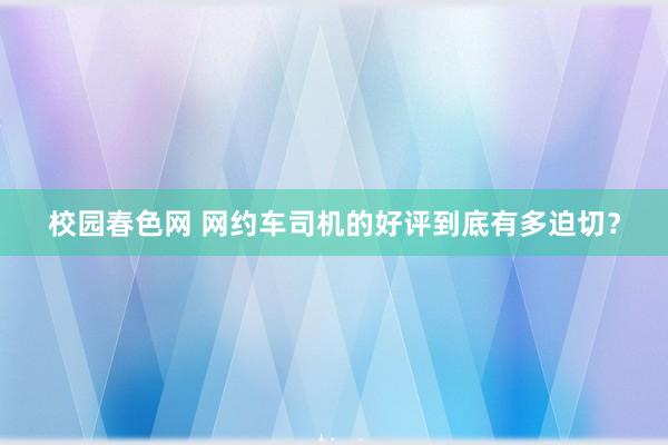 校园春色网 网约车司机的好评到底有多迫切？