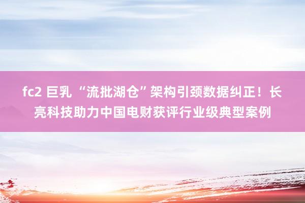 fc2 巨乳 “流批湖仓”架构引颈数据纠正！长亮科技助力中国电财获评行业级典型案例