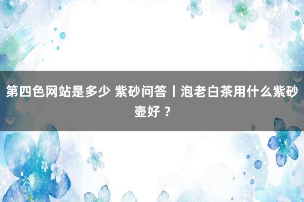 第四色网站是多少 紫砂问答丨泡老白茶用什么紫砂壶好 ？